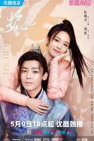 护心电视剧免费观看全集在线播放